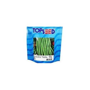 Imagem de Sementes De Feijão Vagem Macarrão Trepador 100g