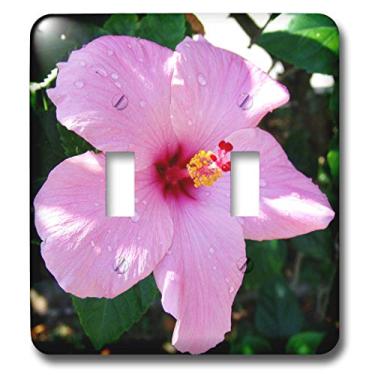 Imagem de 3dRose lsp_17184_2 Interruptor de Hibisco Rosa Dew