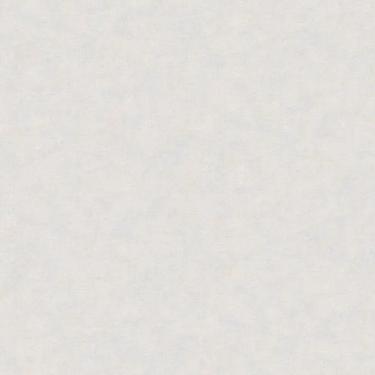 Imagem de Papel De Parede Nature Cimento Queimado Cinza Tonu8003