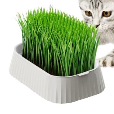 Imagem de Vaso hidropônico para gatos em ambientes internos | Vaso hidropônico para cultivador de grama de trigo saudável sem solo para jardinagem doméstica, suprimentos para animais de estimação