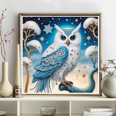 Imagem de Kits de arte de diamante 5D para adultos - kits de pintura de diamante de coruja faça você mesmo, broca redonda completa - bordado de cristal em ponto cruz para decoração de parede, presentes de Natal