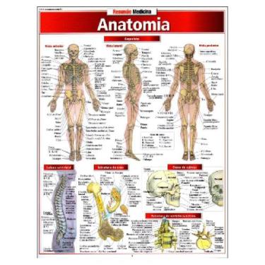 Imagem de Resumão Anatomia - BFeA