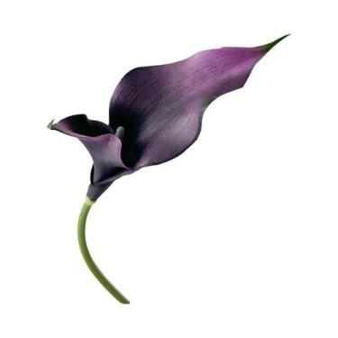 Imagem de Arranjo De Flores Artificiais Em Forma De Ferradura De Lótus, Buquê Fa