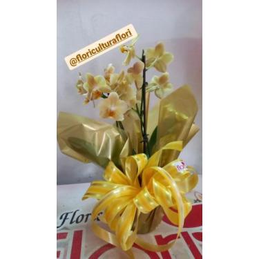 Imagem de Arranjo em orquídeas amarelas - Floricultura Flori