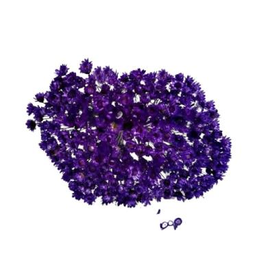 Imagem de SEMPRE VIVAS FLORZINHAS DESIDRATADAS PARA LEMBRANCINHAS ARRANJOS DE MESA CASAMENTOS MAÇO ORGANIZADO(ROXO)