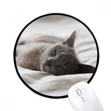 Imagem de Tapete de rato para fotografia de gato cinza fofo para computador