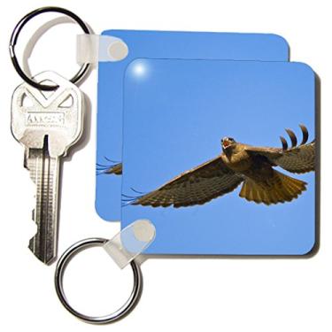 Imagem de 3dRose Washington State, Hawk, pássaro - US48 GLU0042 - Gary Luhm - Chaveiros, 5,7 x 11,4 cm, conjunto de 4 (kc_95637_2)