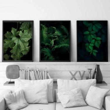 Imagem de Kit 3 Quadros Folhagens 24X18Cm - Com Vidro - Quadros On-Line