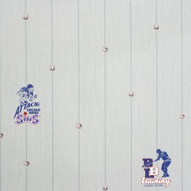 Imagem de Papel de Parede All Kids Linha Esportiva H2910405 - Rolo: 10m x 0,53m