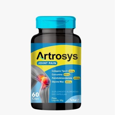 Imagem de Artrosys Joint Pain - 60 Cápsulas-Unissex