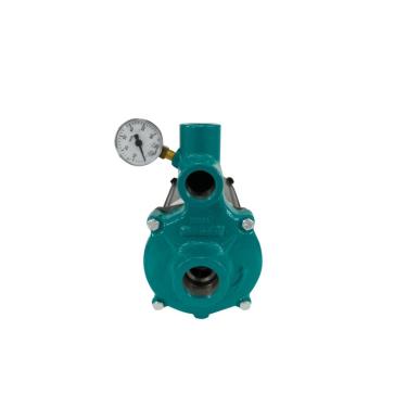 Imagem de Motobomba Injetora 3/4cv 60Hz 110/220V I-109 ECI-75 Eletroplas