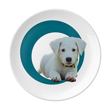 Imagem de Prato de jantar de porcelana decorativa para cães agachados com anel branco para animais de estimação