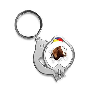 Imagem de Cortador de unhas afiado de papel quebrando expressões de papel animal cortador de unhas de aço inoxidável