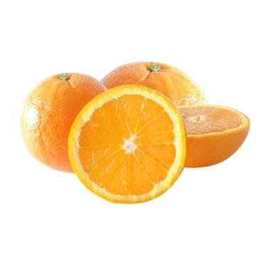 Imagem de Muda Frutífera de Laranja Lanelate (Umbigo Tardia) Enxertada - AgroJar