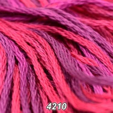 Imagem de Linha DMC Color Variations 8m, 4210