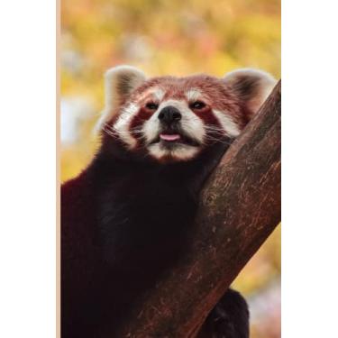 Imagem de Notebook: Beautiful Red Panda Notebook Journal For Animal Lovers | 6x9 120 Pages College Ruled Journal Diary