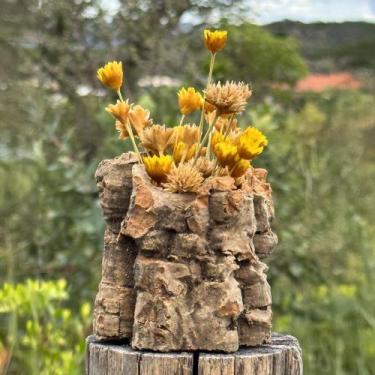 Imagem de Tronco rústico decorativo -  Sempre Vivas - Coloridas - VIVA FLOR, 09