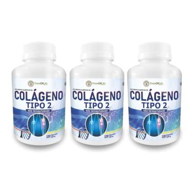 Imagem de 3X Colágeno Tipo 2 40Mg 360 Cápsulas Tree Of Life
