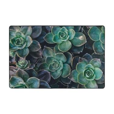 Imagem de ZERAOKE Tapetes de área de plantas suculentas para sala de estar de 1,2 x 1,5 m, tapete macio e moderno, tapetes felpudos antiderrapantes para decoração de casa, tapete lavável para quarto, jantar,