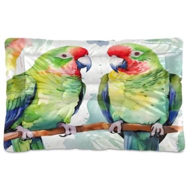 Imagem de Wassud Cama de cachorro com corações desenhados à mão Papagaios no ramo, camas grandes para cães ao ar livre, tapete lavável para animais de estimação, cama de gato para dormir, viagens, 45,7 x 61 cm