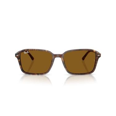 Imagem de Óculos de Sol Ray-Ban Raimond 0RB2231 141833 Tam 58 / Marrom - Lentes Marrom