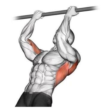 Imagem de Barra Fixa De Parede Musculação e Calistenia Treinar Em Casa - OESTESO