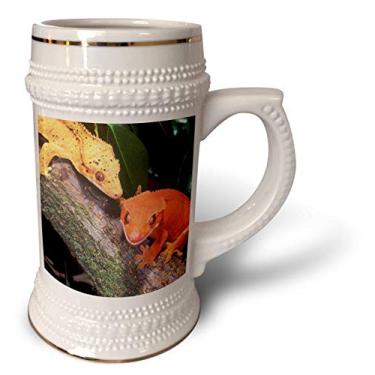 Imagem de 3dRose Caneca New Caledonia Crested Geckos, lagarto - NA02 DNO0243-David Northcott, 510 g, caneca de 623 g, branca