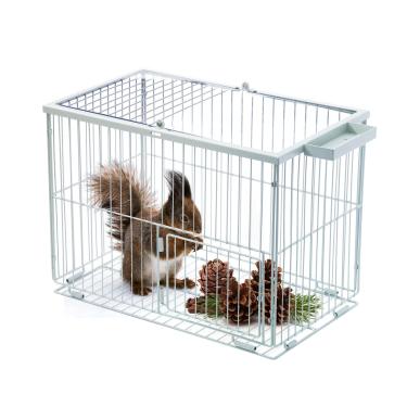 Imagem de Armadilha de esquilo, captura e liberação de esquilos, gaiola de armadilha de animais pequenos para armadilha de gatos. Gaiola de armadilhas para pássaros para ambientes internos e externos (modelo-1