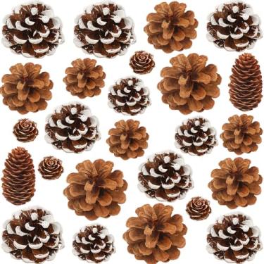 Imagem de Pacote com 25 pinhas naturais, pinhas rústicas, guirlanda de outono, Ação de Graças, Natal, neve, pinhas decorações, enfeites de árvore de Natal, enchimento de vaso de inverno