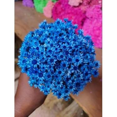Imagem de Flor Sempre-Viva Natural Desidratada Kit 300 600 1200 Flores – Decoração Festa Casamento e Arranjos Artesanais (Azul escuro,600 flores atacado)