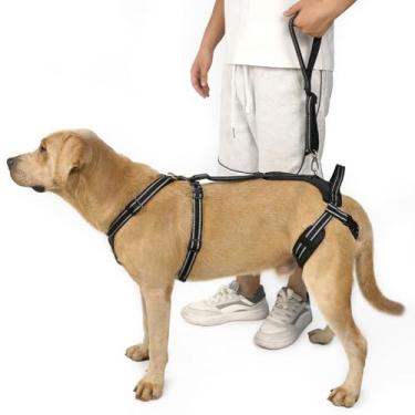 Imagem de COODEO Alça profissional para suporte de perna traseira – auxílio para cirurgia pós-ACL/TPLO e cães idosos, seguro, respirável e lavável na máquina com borda refletiva para caminhadas seguras (preto
