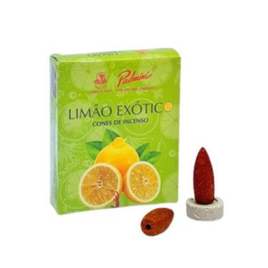 Imagem de Incenso de Cone Limão Exótico - Padmini - 10 Cones com Mini Incensário