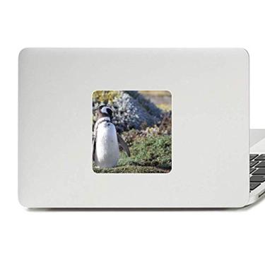 Imagem de Adesivo de vinil Paster Laptop Stand Southern Penguin SpheniscidaePicture para decoração de PC