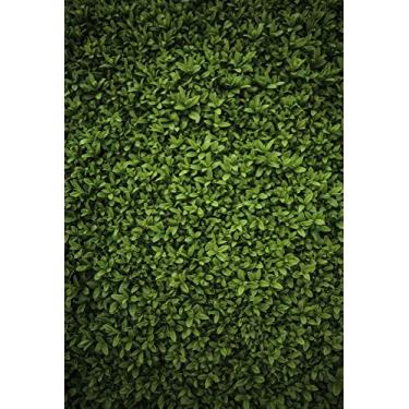 Imagem de Fundo de grama de parede verde Ivy, NCJ01388, 5x7FT