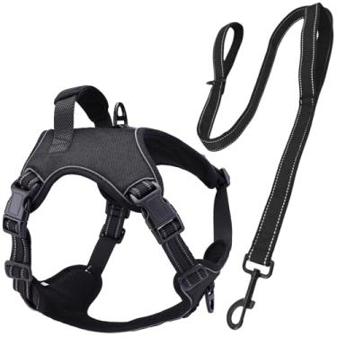 Imagem de Coleira Peitoral Pet Antipuxão POWER + Guia Longa 1,5m Madog (Preto, M)