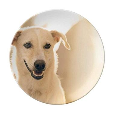 Imagem de Placa decorativa de porcelana para animais de estimação Smile White Dog Salver mesa de jantar