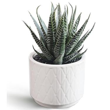 Imagem de Suculenta artificial em vaso, pequeno vaso de suculentas falsas em vaso de 17 cm, planta em vaso realista para casa, escritório, banheiro, decoração boho, mini verdura falsa para prateleira, decoração