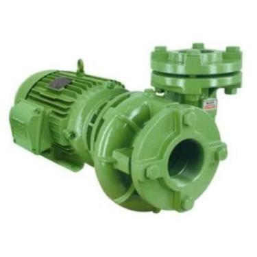 Imagem de Bomba D'água Centrífuga 5.0cv Bc-21 F 2 1/2 Schneider Trifásico