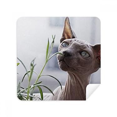 Imagem de Animal cinza fino gato fotografia óculos pano limpador de tela tecido camurça pacote com 2