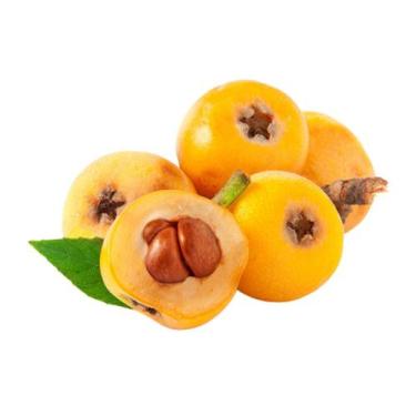 Imagem de Muda Frutífera de Nêspera Enxertada - AgroJardim
