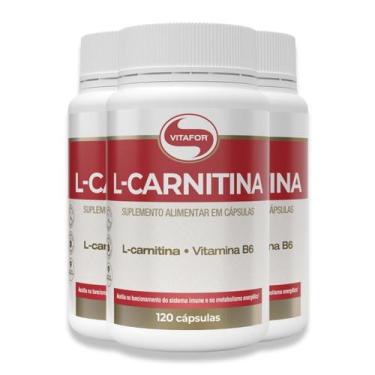 Imagem de Kit 3 L Carnitina B6 Vitafor 120 Cápsulas