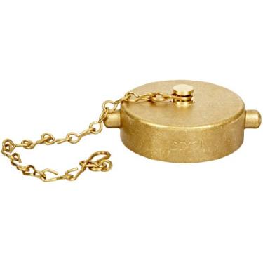 Imagem de Válvula Dixon FC250F Equipamento de incêndio de latão fundido, tampa com corrente e pino de pino, rosca NST (NH) de 2-1/2"