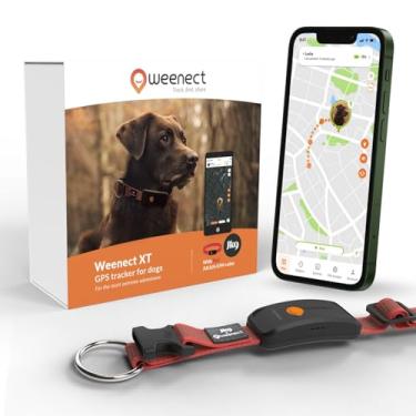 Imagem de Weenect Dog XT – Nova coleira GPS para cães | Antena XL | Impermeável | Julius-K9 é necessária uma assinatura de coleira vermelha integrada ultradurável