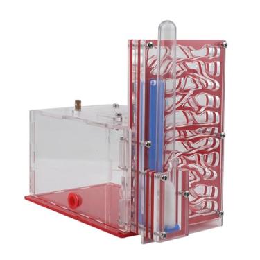 Imagem de Baoblaze Casa de formigas, de acrílico, fazenda, vila, transparente, compacto, com alimentador, aprendizado, umidade, caixa- para casa de formigas, Vermelho
