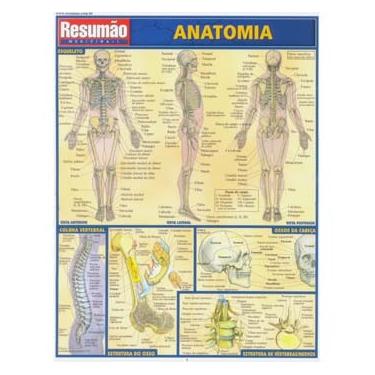 Imagem de Livro - Resumão - Anatomia - Maria Ignez T. França