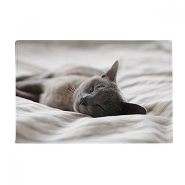 Imagem de DIYthinker Tapete de foto de gato cinza fofo, tapete antiderrapante para porta de banheiro