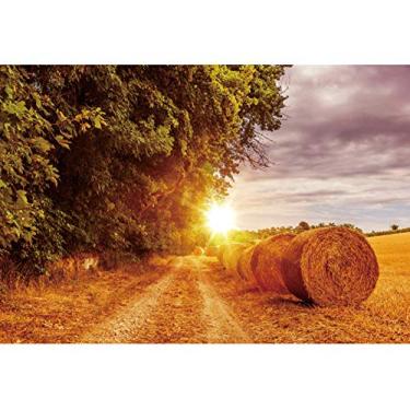 Imagem de Leyiyi Fundo fotográfico de 3,7 x 2,4 m, palheiro, pano de fundo, Dia de Ação de Graças, cidade ocidental, agricultura, pôr do sol, pilhas, colheita, outono, floresta, árvore, cowboy, foto, retrato,