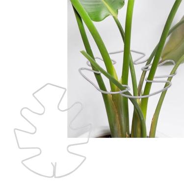 Imagem de Estaca de suporte de haste Monstera de 13 x 14 cm com gancho de trava, suporte de planta trepadeira durável para Monstera, cacto espinha de peixe, fácil instalação, branco