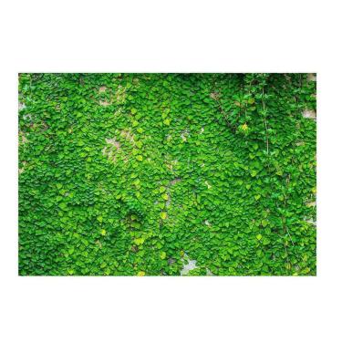 Imagem de Fundo Fotográfico Muro Inglês 2,2X1,5 Fff-506