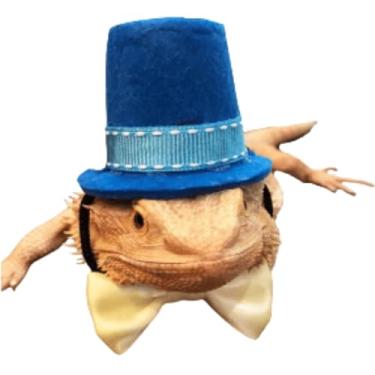 Imagem de earded Dragon Clothes Small Animal Bow Ties Chapéus para Animais de Estimação Roupa Cosplay Legal Kawaii Pet Chapéu Preto para Hamster Ferret Gato Ratos Filhote de Cachorro Ouriço Dragão Barbudo